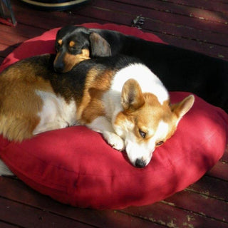 Pet Beds / Floor Cushions