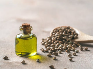 10 Incredible Uses for Hemp Seed Oil - Hemp Gallery