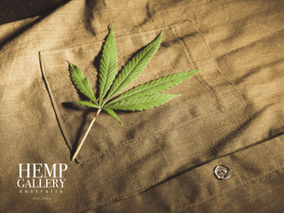 Are Hemp T Shirts Comfortable? Everything You Need to Know - Hemp Gallery