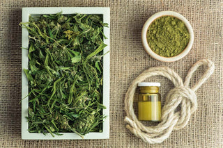 Everything You Need To Know About Hemp Fabric - Hemp Gallery