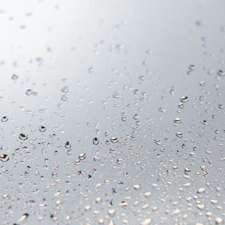 In Focus: Colloidal Silver – Nature’s Versatile Wellness Mineral - Hemp Gallery