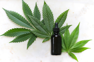 CBD Oil - Uses & Benefits