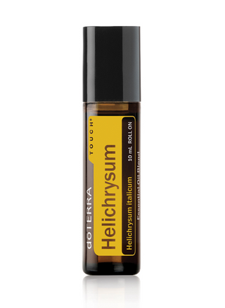 Helichrysum