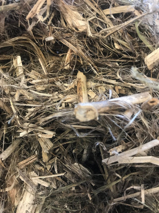 Hemp Pet Bedding - Hemp Gallery500g