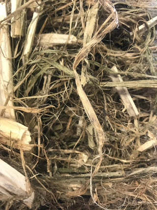 Hemp Pet Bedding - Hemp Gallery1kg