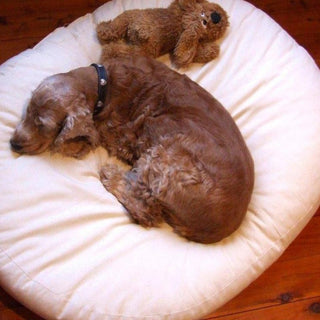 Pet Beds / Floor Cushions