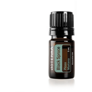 doTERRA Black Spruce Picea Mariana