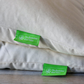 Buckwheat Hull Pillow - Hemp GalleryStandardCotton