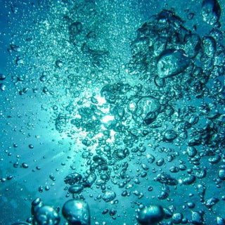 Colloidal Sea Minerals - Hemp Gallery200ml