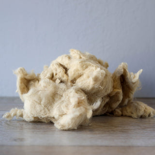 Hemp Short Fibre - Hemp Gallery1kg